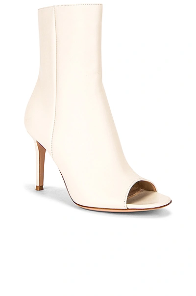 Shop Gianvito Rossi Peep Toe Booties In Off White