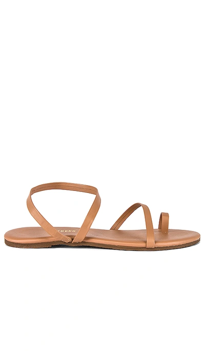 Tkees Mia Napa Water Resistant Sandal In Beach Bum