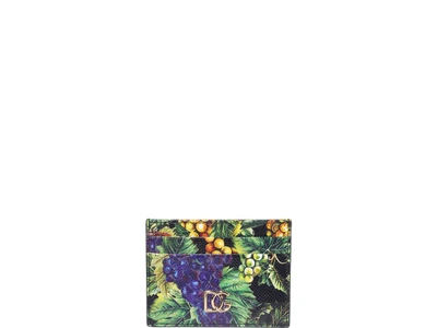 Shop Dolce & Gabbana Grape Print Cards Holder In Multicolor