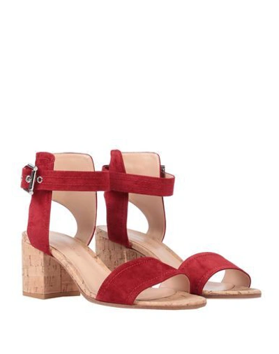 Shop Gianvito Rossi Sandals In Red