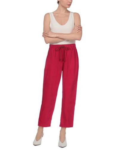 Shop Semicouture Woman Pants Fuchsia Size 2 Cotton In Pink