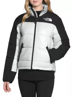 grey puffer jacket north face