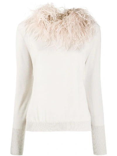 Shop Fabiana Filippi Feather Trim Jumper In Neutrals