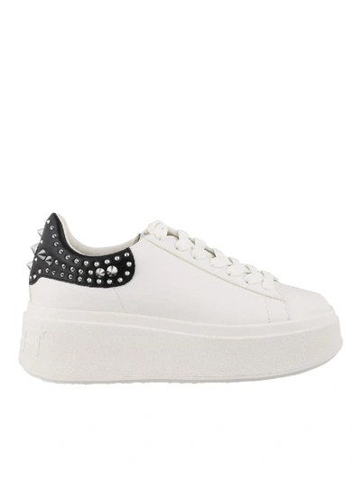 Shop Ash Moby Sneakers In White