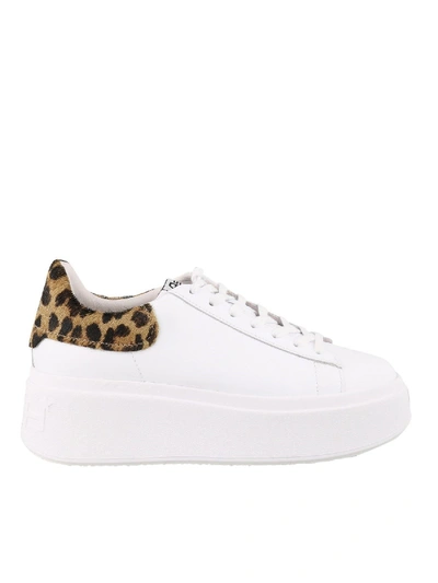 Shop Ash Moby Sneakers In White