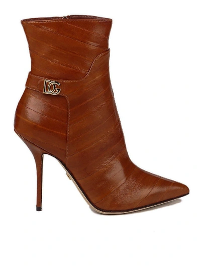 Shop Dolce & Gabbana Dg Logo Ankle Boots In Brown
