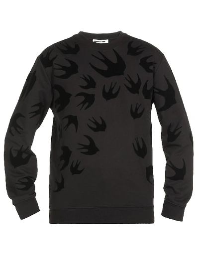 Shop Mcq By Alexander Mcqueen Swallow Sweatshirt In Darkest Black