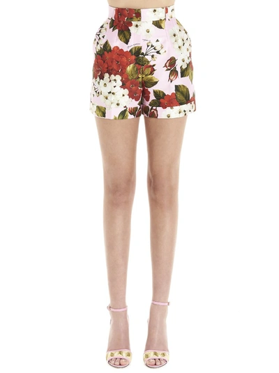 Shop Dolce & Gabbana Floral Print Shorts In Multi