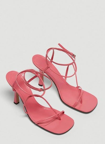 Shop Bottega Veneta Bv Line Sandals In Pink