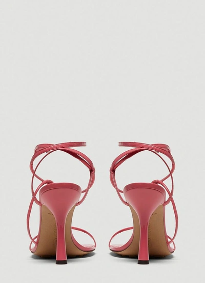 Shop Bottega Veneta Bv Line Sandals In Pink