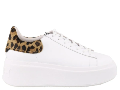 Shop Ash Moby Sneakers In White