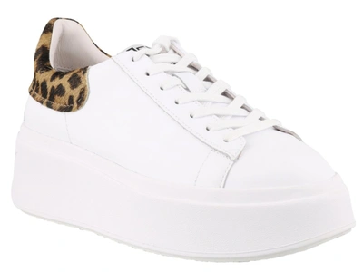 Shop Ash Moby Sneakers In White