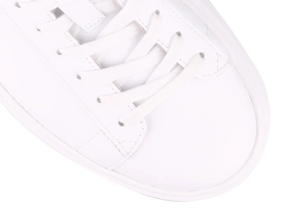 Shop Ash Moby Sneakers In White