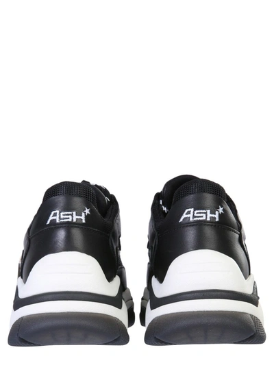 Shop Ash Addict Sneakers In Black