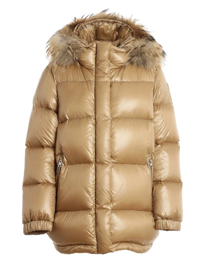 Shop Woolrich Aliquippa Parka Padded Coat In Golden Color