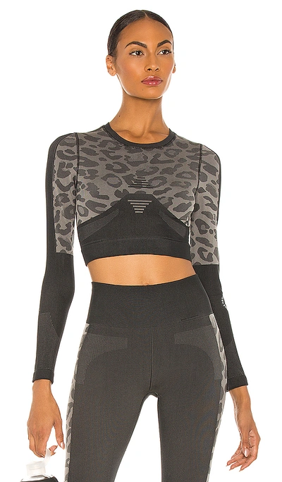 Shop Adidas By Stella Mccartney Truepur Crop Top In Black  White & Ash