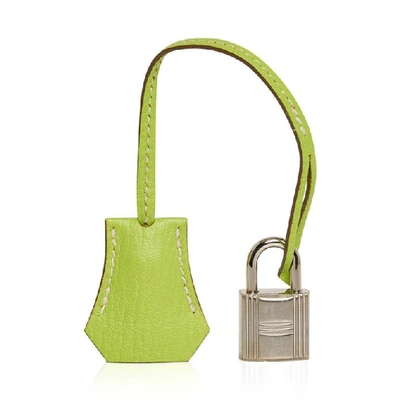 Kiwi lime birkin hotsell