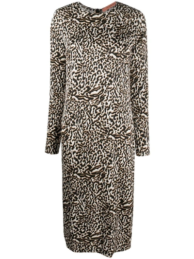 Shop Andamane Leopard Viscose Dress In Brown