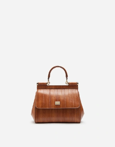 Shop Dolce & Gabbana Small Sicily Bag In Eel In Brown