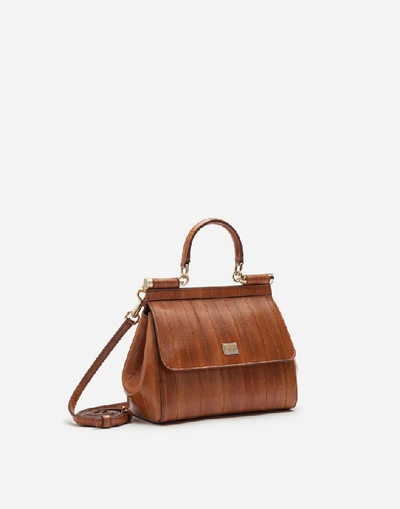 Shop Dolce & Gabbana Small Sicily Bag In Eel In Brown
