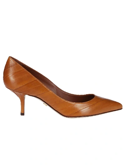 Shop Dolce & Gabbana Pointed-toe Leather Pumps In Cognac