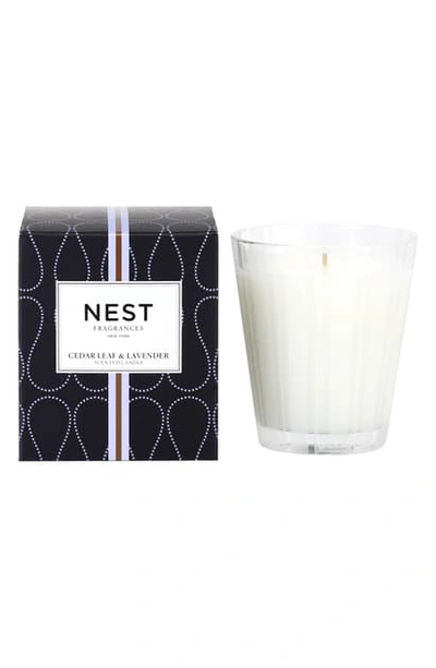 Shop Nest New York Cedar Leaf & Lavender Candle, 8.1 oz