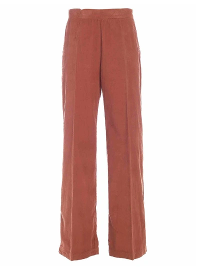 Shop Semicouture Velvet Pants In Brown