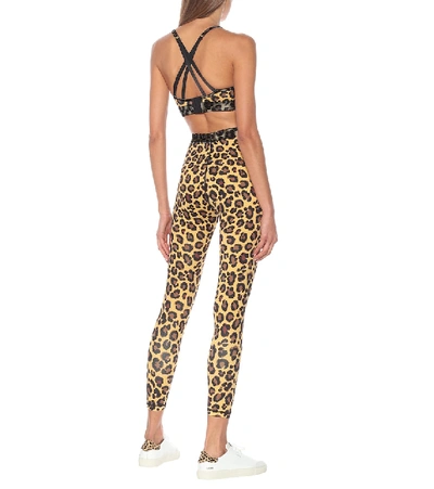 Shop Adam Selman Sport Bonded Leopard-print Sports Bra In Brown