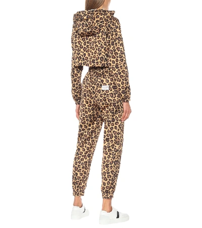 Shop Adam Selman Sport Leopard-print Technical Trackpants In Brown