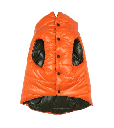 Shop Moncler Reversible Hooded Dog Coat In Orange