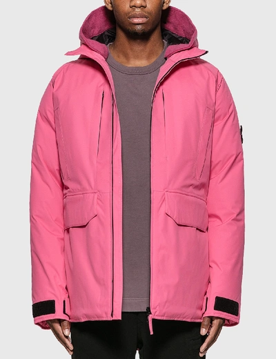 Stone Island Ripstop Gore-tex Down Coat In Pink | ModeSens