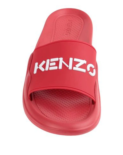 Shop Kenzo Sandals In Red