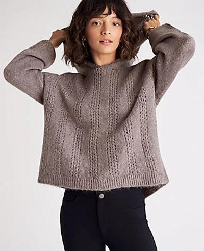 Shop Ann Taylor Pointelle Hoodie Sweater In Dove Gray