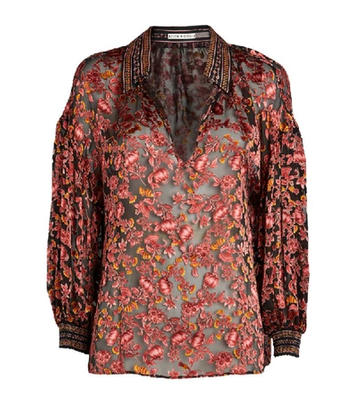 Shop Alice And Olivia Collared Floral Desiree Blouse