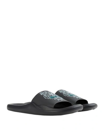 Kenzo Tiger Pool Mules In Black