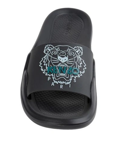 Kenzo Tiger Pool Mules In Black