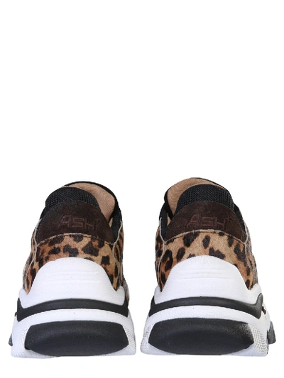 Shop Ash "addict" Sneakers In Animalier