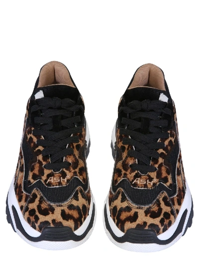 Shop Ash "addict" Sneakers In Animalier