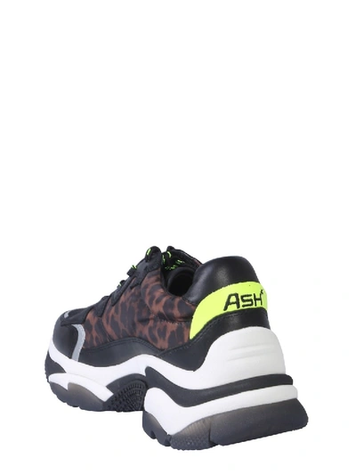 Shop Ash Addiction Sneaker In Black