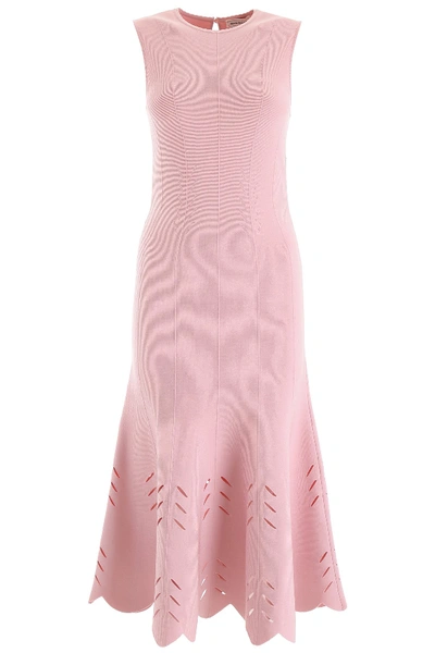 Shop Alexander Mcqueen Knit Midi Dress In Blush Pink