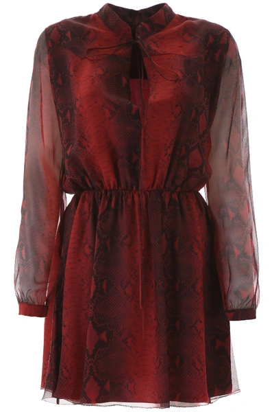 Shop Amiri Python-print Mini Dress In Burgundy