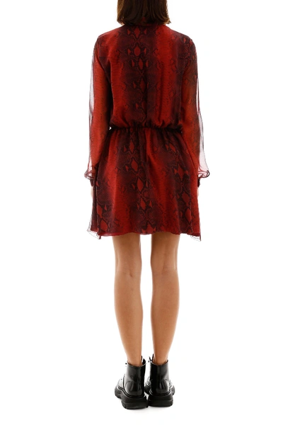 Shop Amiri Python-print Mini Dress In Burgundy
