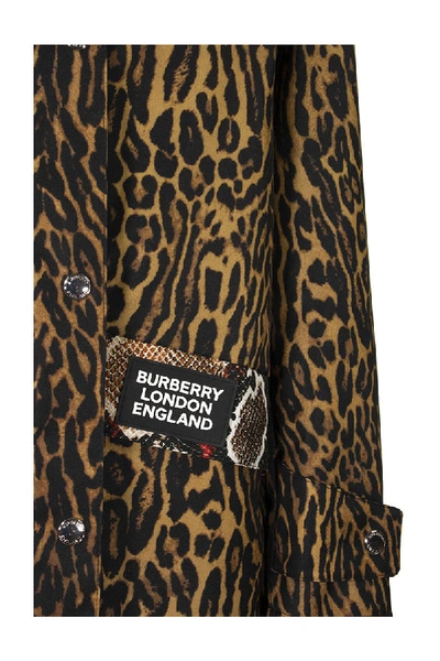 Shop Burberry Animal Print Nylon Twill Parka In Honey