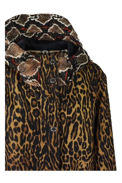 Shop Burberry Animal Print Nylon Twill Parka In Honey