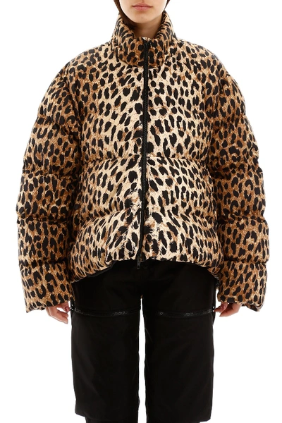 Shop Balenciaga Leopard-printed Puffer Jacket In Beige