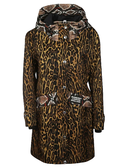 Shop Burberry Coats In Honey