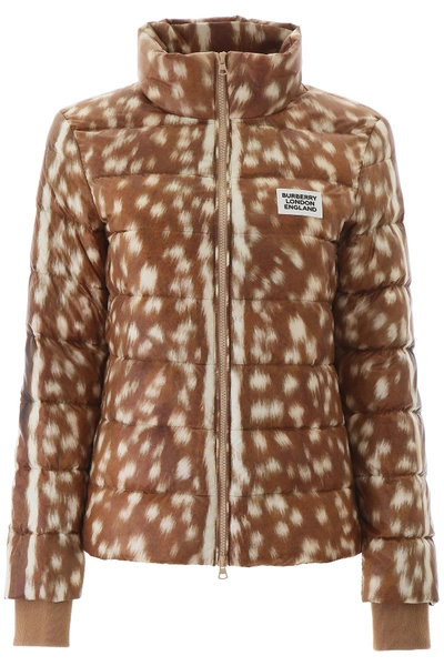 Shop Burberry Deer Print Puffer Jacket In Honey
