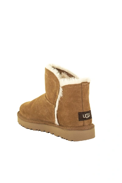 Shop Ugg Classic Fluff Mini Chestnut Boots