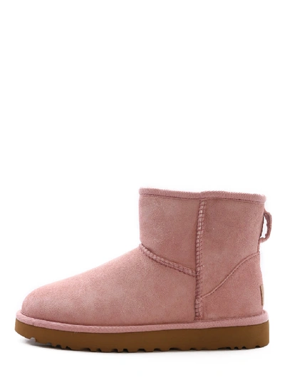 Shop Ugg Classic Mini Ii Boot In Pink