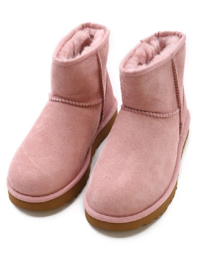 Shop Ugg Classic Mini Ii Boot In Pink